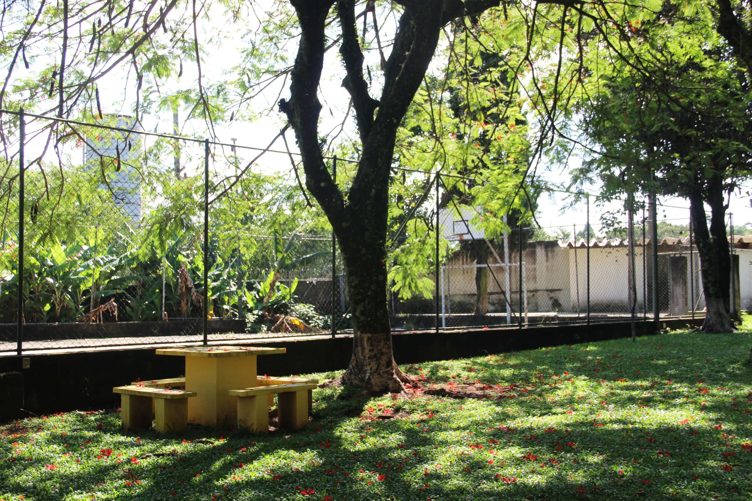 residencial-garden-ville-sp-zona-norte-bosque-privativo-com-quadra-de-esportes