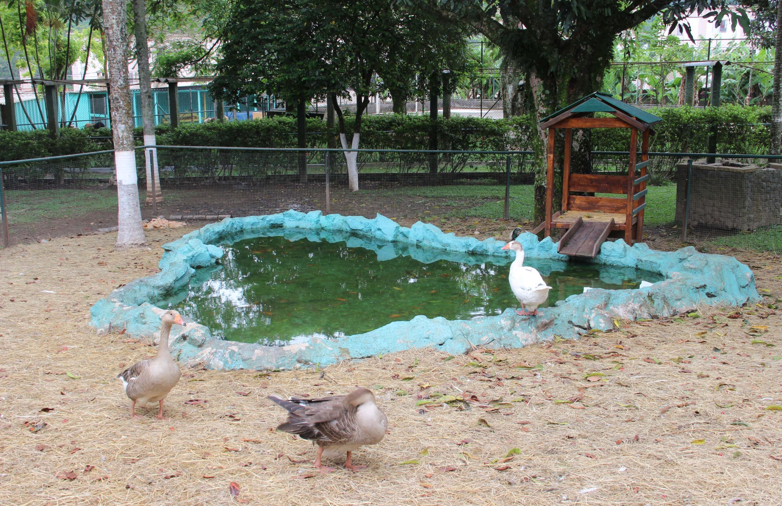 residencial-para-idosos-garden-ville-sp-bosque-privativo-com-animais-lago