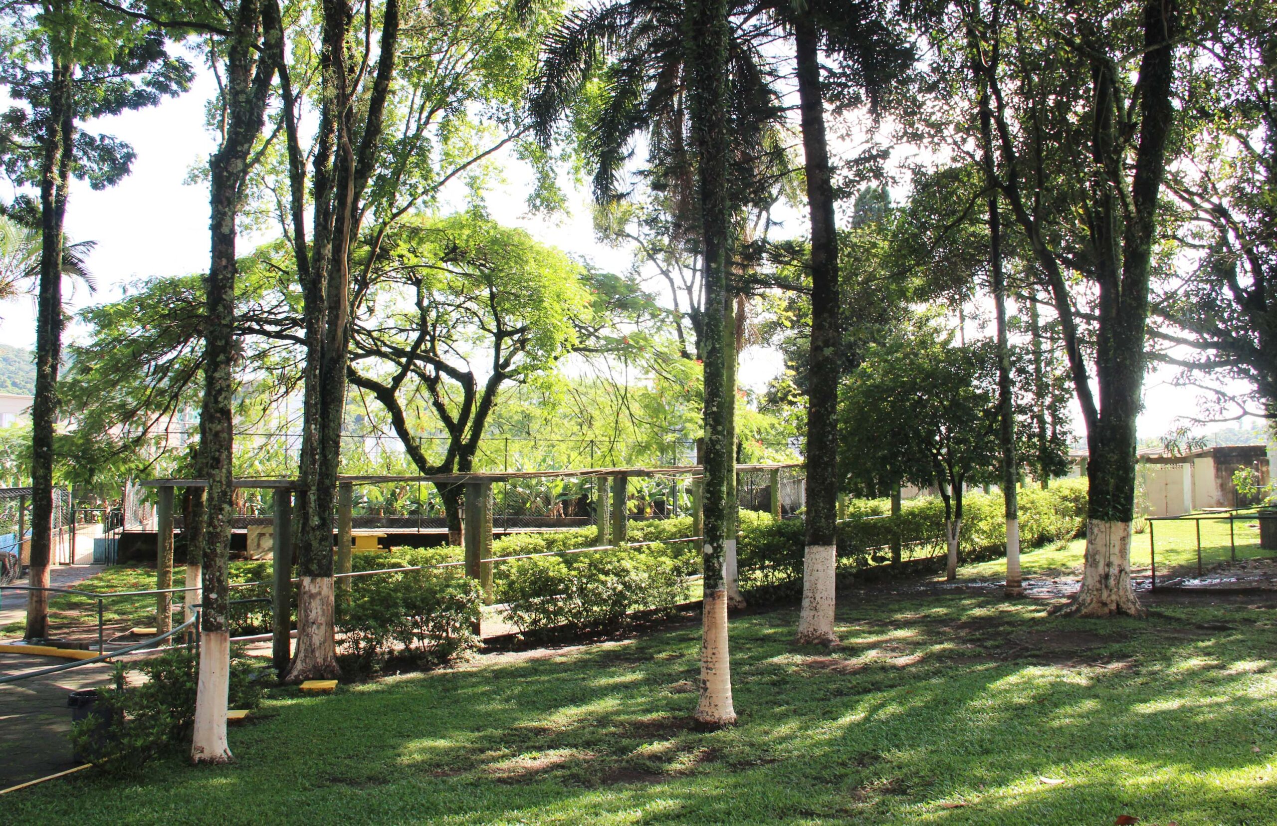 residencial-para-idosos-garden-ville-sp-bosque-privativo